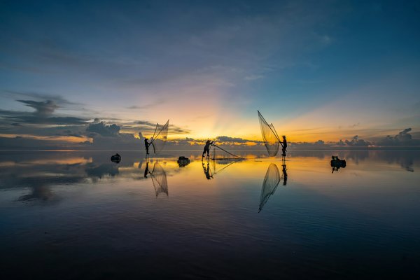 Optimisez votre bien-être avec le trim de chanvre : avantages et astuces